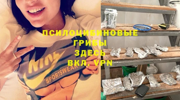 гидра Радужный